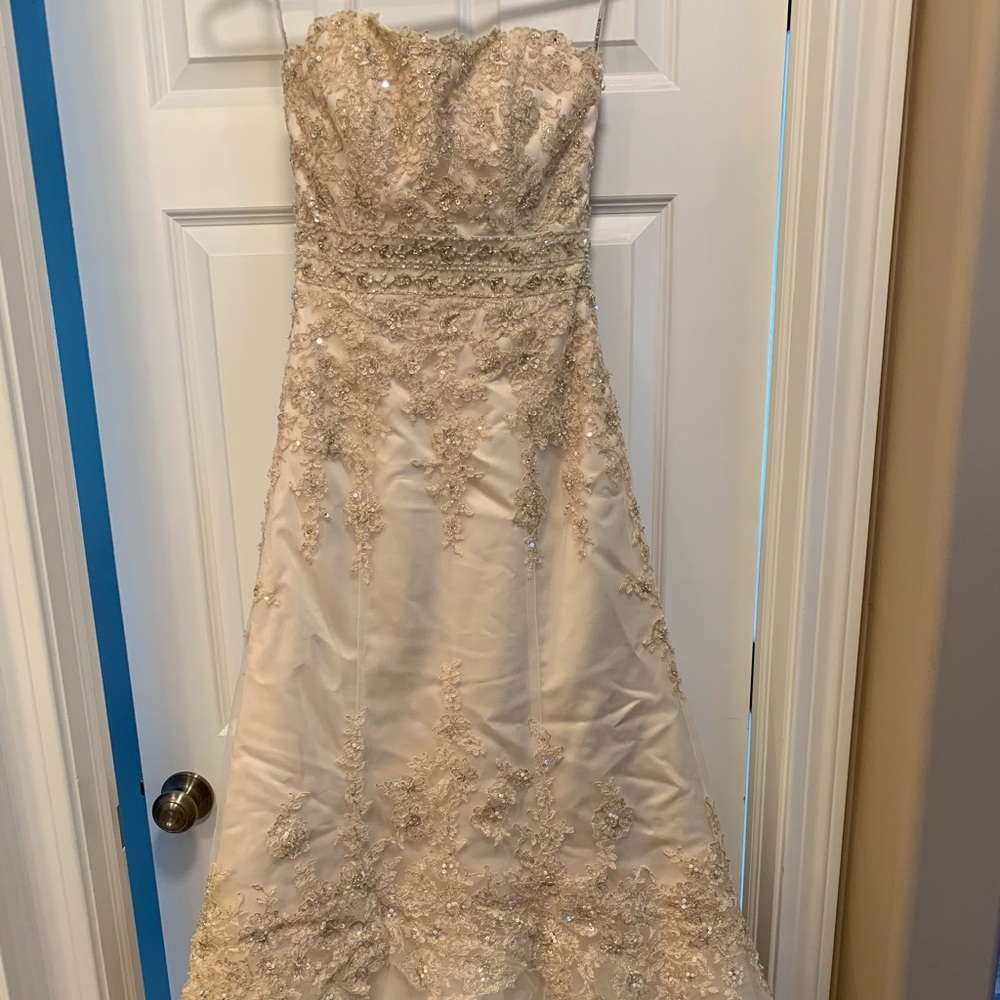 Maggie Sottero Couture Wedding Dress and Veil